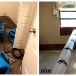 before and after mold