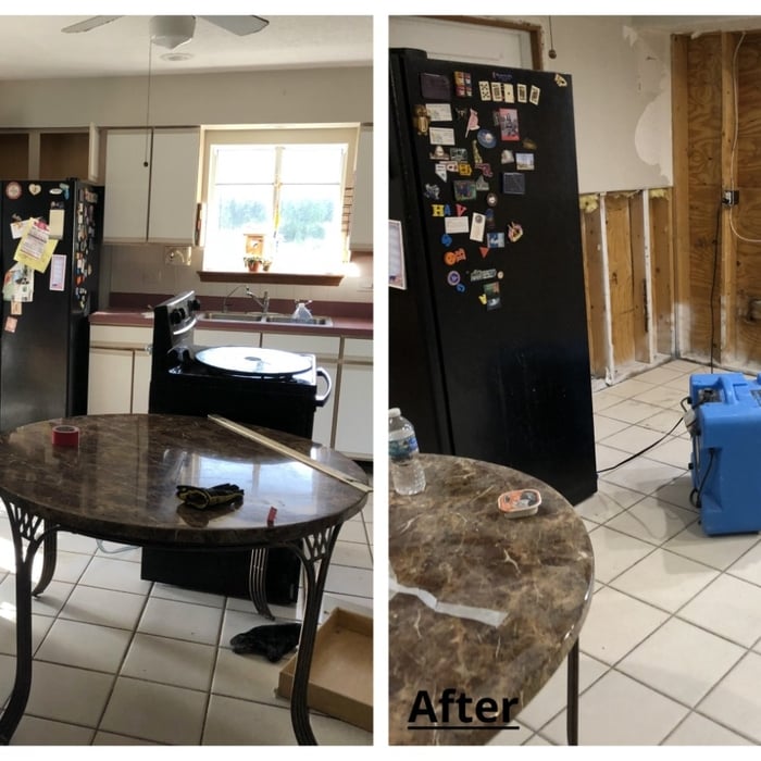 before and after mold