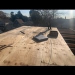 Flat Roof / Plywood