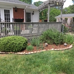 Before & After Photos
