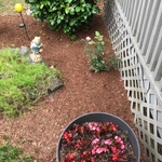Before & After Photos