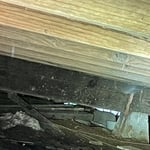 termite tubes