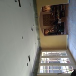 base coat