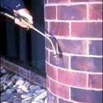exterior pest control