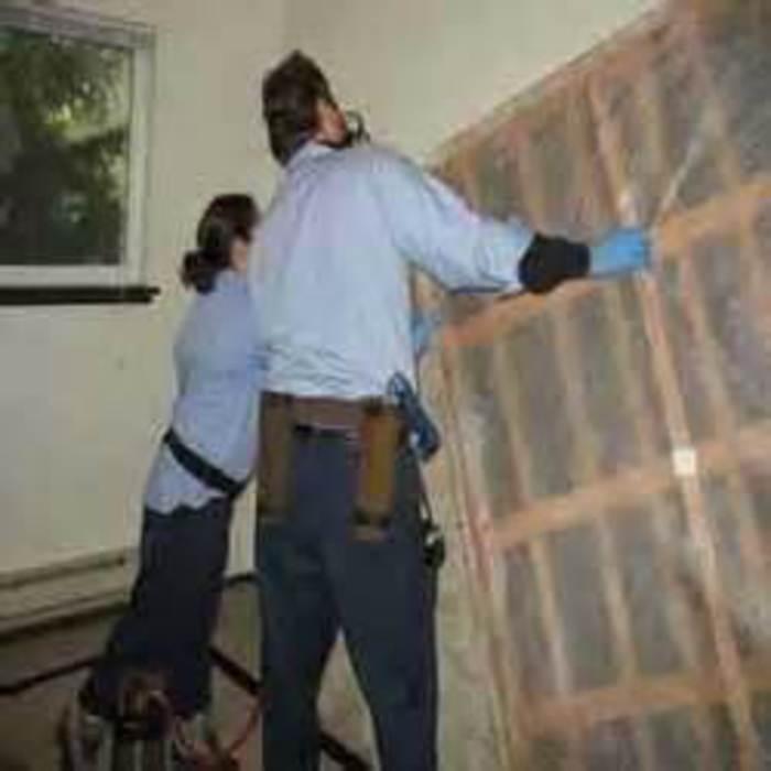bed bug treatment