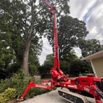 Tree Removal