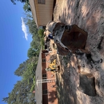 Tree Removal