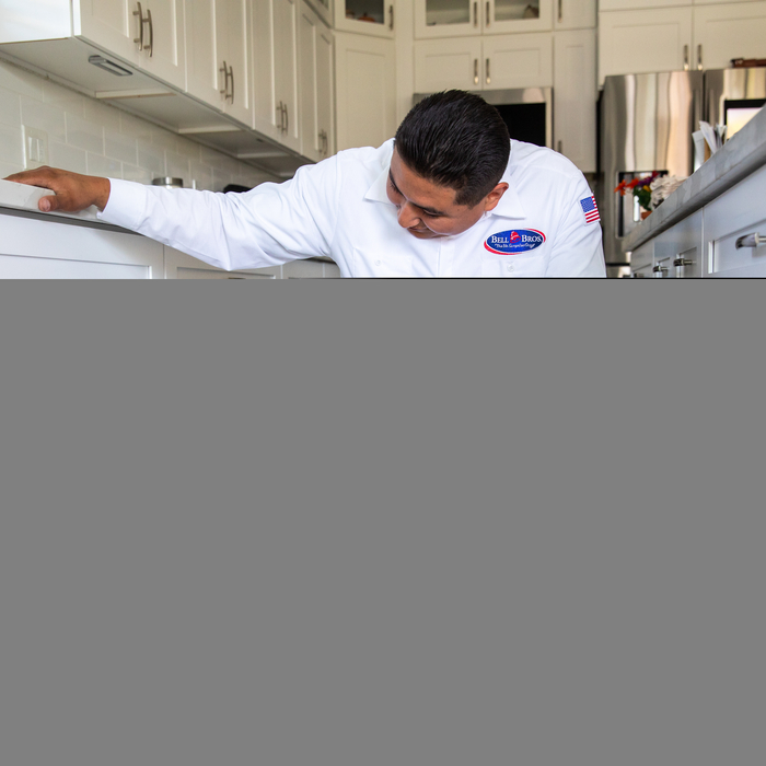 Drain Inspection