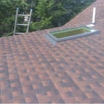 New Skylight and Shingles
