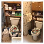Toilet - Before and after initial cleaning