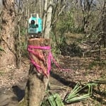 CP Tree