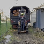 Tree Removal and Cleanup