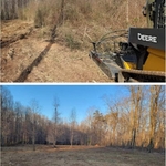 Before/ After