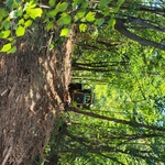 Brush Control/1a
