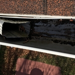 Rain gutter