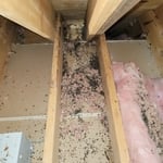 Attic Before