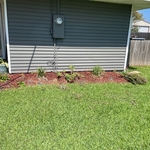 Before photo