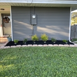 After photo