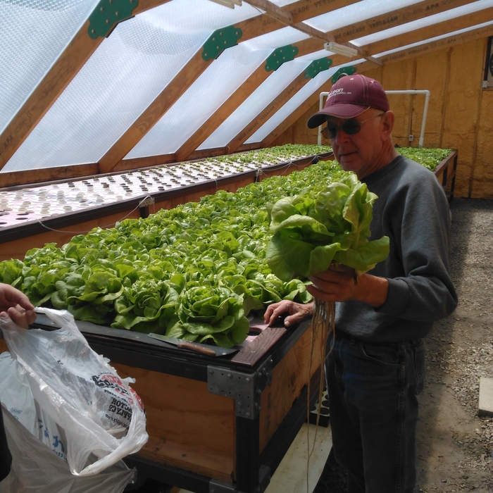 Green House w/ Raft growing system