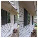 Black mold under an eve