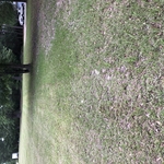 Polk County