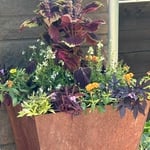 Summer flower pots