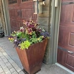 Summer flower pots