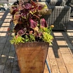 Summer flower pots