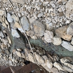 pond build