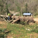 Our work