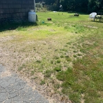 junk removal job in Marion