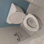 Before cleaning of toilet