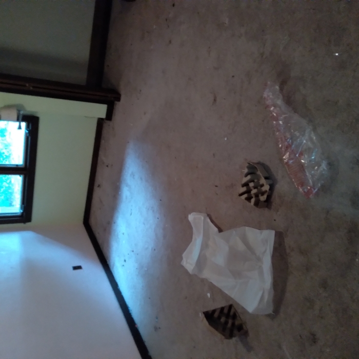 1st bedroom before the cleaning of carpet