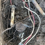 Sprinkler and Lawn
