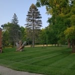 Lawn Mowing