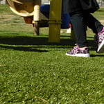 Playground Grass