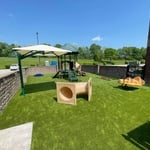 Playground Grass