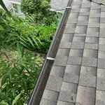 Gutter Cleaning