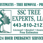 SSC Tree Experts, LLC