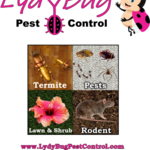 LydyBug Pest Control