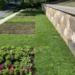 sod installation