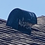 Rooftop dryer vent clog