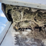 Rooftop dryer vent clog