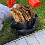 Removal of beehive under patio deck