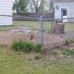 Four trees