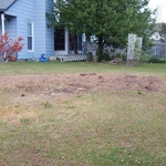 Not much to see now, two giant pines...gone!