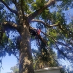 Climbing