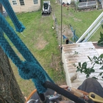 Tree views