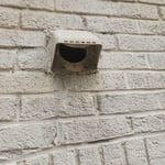 Dryer Vent Cleaning