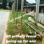 privacy Fence